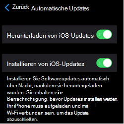 Screenshot: Einstellungen für automatische Updates auf iOS-/iPadOS-Apple-Geräten