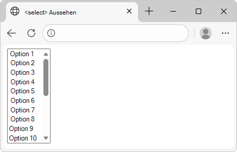 Eine Liste, die alle Optionen gleichzeitig auf der Seite anzeigt