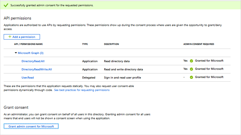 Screenshot showing the application permissions successfully granted.