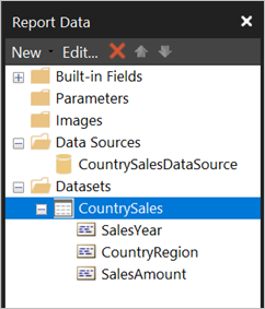 Screenshot of the Datasets in the Report Data pane.