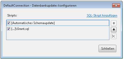 Datenbankaktualisierungen mit benutzereigenem Skript konfigurieren