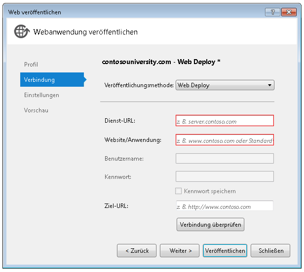 Publish_Web_Connections_tab_default_values