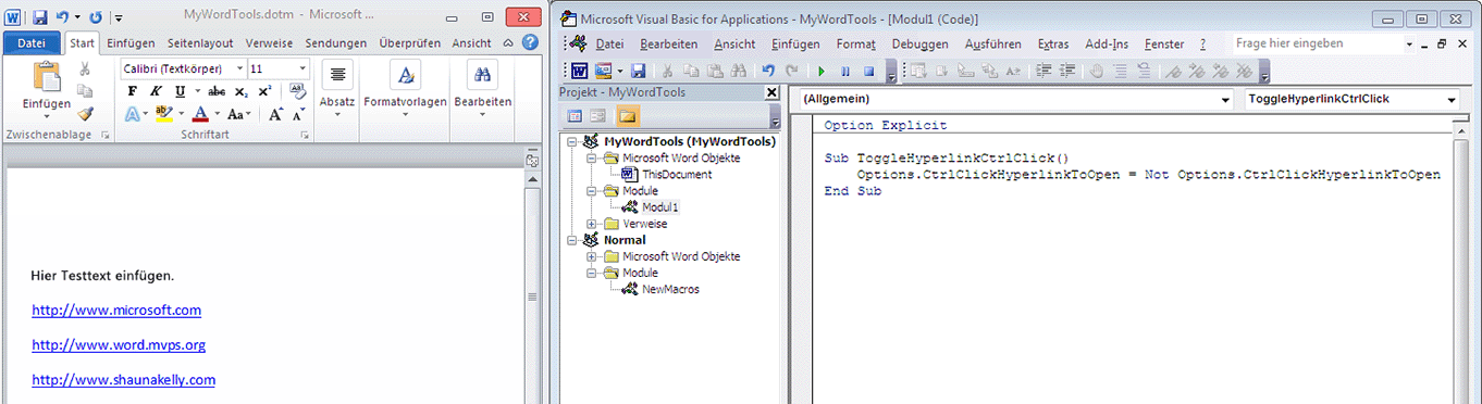 Geteilter Bildschirm mit Dokument und Visual Basic-Editor