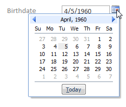Integrierte Datumsauswahl