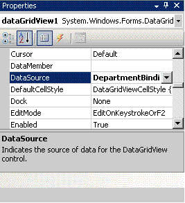 Die von Visual Studio automatisch generierte Eigenschaft "DataSource"