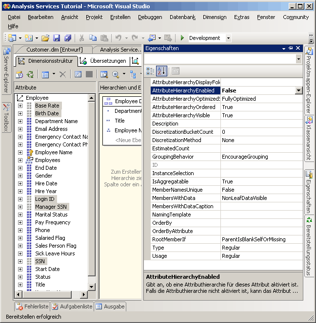 AttributeHierarchyEnabled-Eigenschaft ist auf False festgelegt.