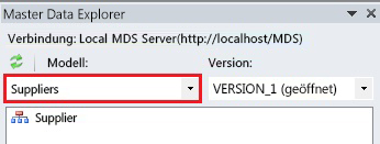 Excel – Master Data Explorer (Fenster)