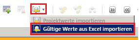 Gültige Werte aus Excel importieren (Menü)