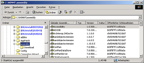 Abbildung 1: GAC-Anzeige des GAC-Viewers im Windows Explorer