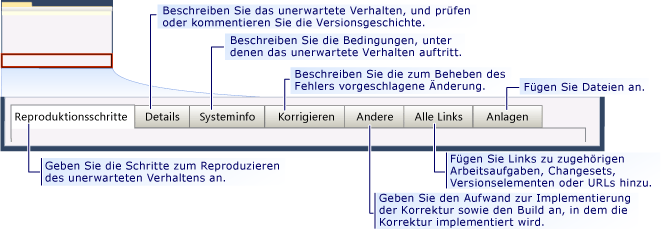 Arbeitsaufgabenformular für CMMI-Fehler - Registerkarten