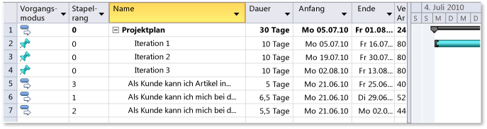 Benutzertextabschnitte, die dem Projektplan hinzugefügt wurden