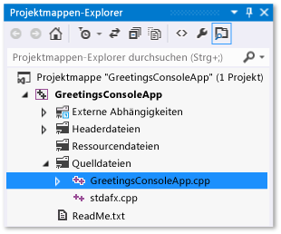 Dateien für die Projektmappe im Projektmappen-Explorer