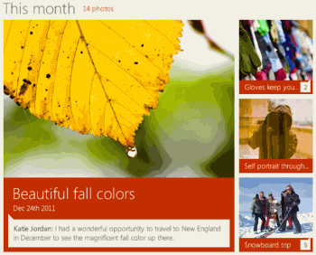 Monatsansicht in der Windows Store-App.