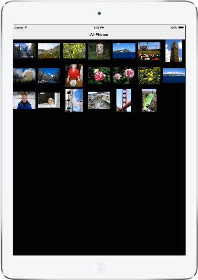 Die ausgeführte App, die ein Raster mit Bildern anzeigt