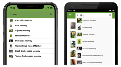 Screenshot: Suchergebnisse mit Vorlagen in einem Shell-SearchHandler-Objekt unter iOS und Android