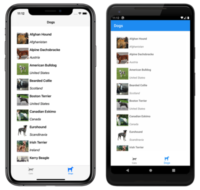 Screenshot: Shell-App mit zwei Seiten mit unteren Registerkarten unter iOS und Android