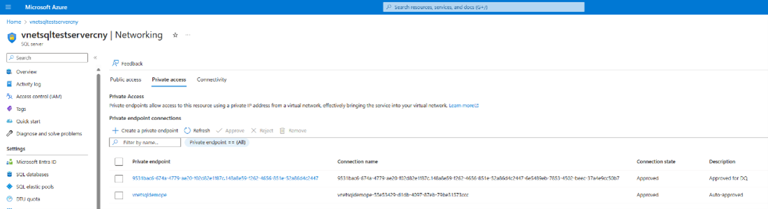 Screenshot of the networking page of a SQL server private access tab showing the request is approved.