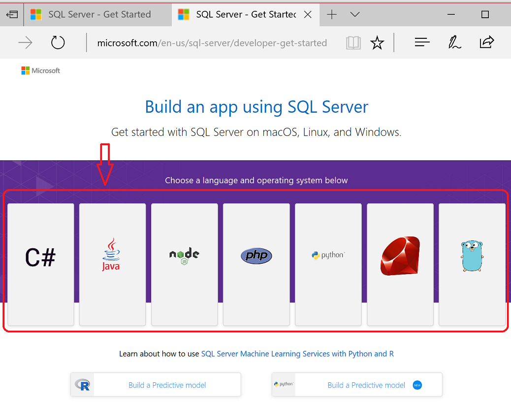 Screenshot der SQL Developer-Website, erste Schritte mit Java.