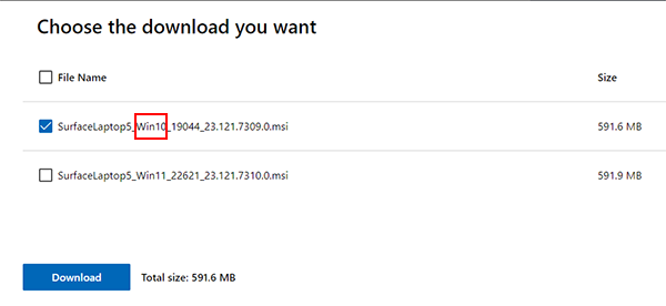 Screenshot: Auswahl Windows 10 MSI-Datei