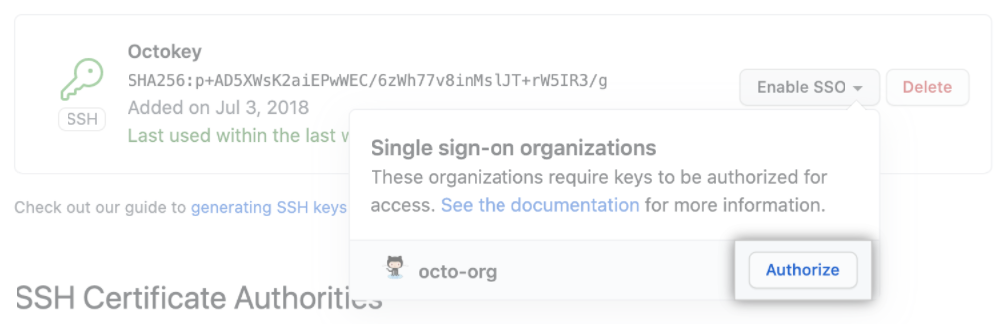 Screenshot des SSH-Schlüssels.