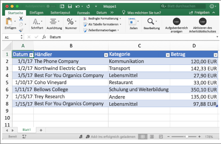 Screenshot eines Beispiels für eine Excel-Arbeitsmappe.