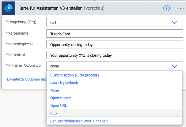 Wählen Sie „REST“ für den primären Aktionstyp aus.