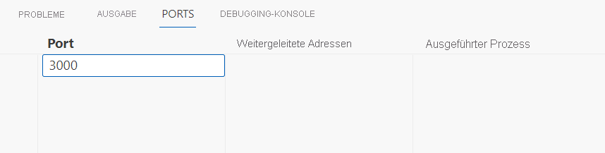 Screenshot, der die Angabe von Port 3000 in der Portansicht zeigt.