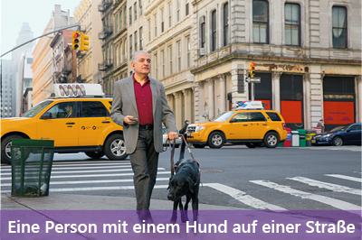 An image of a person with a dog on a street and the caption 