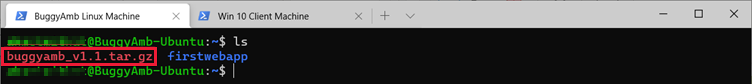 Screenshot des Befehls 