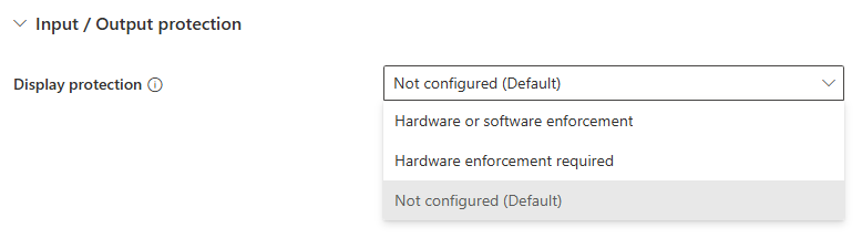 Screenshot zeigt die Auswahl der Anzeigeschutzebene unter E/A-Schutz.