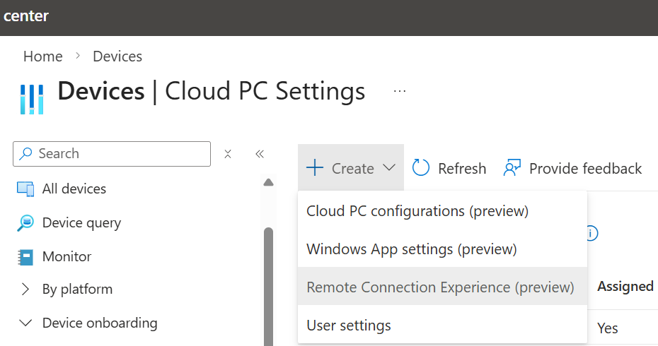 Win365 RDP-Eigenschaften Remoteverbindungserfahrung