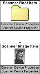 Diagramm, das zeigt, wie WIA den Scanner und sein Bild als Elementbaum darstellt.