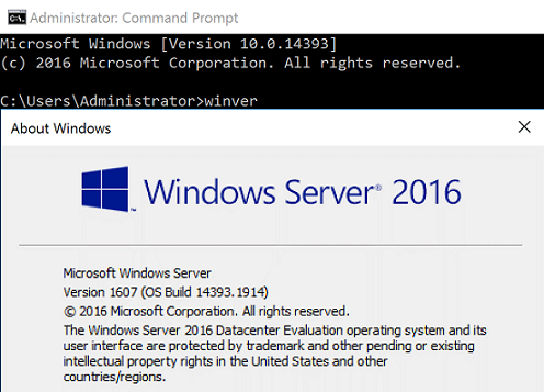 A screenshot of the winver command displaying Windows Server 2016 version 1607 and operating system build 14393.