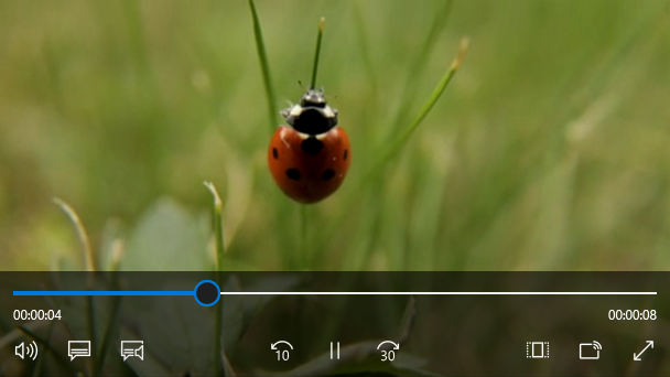 Screenshot eines Media Player-Elements mit Transportsteuerelementen, die ein Video eines Marienkäfers wiedergeben