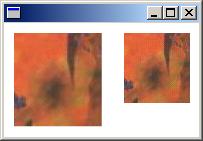 Screenshot eines Fensters, das zwei Versionen eines Bilds in unterschiedlichem Maßstab enthält