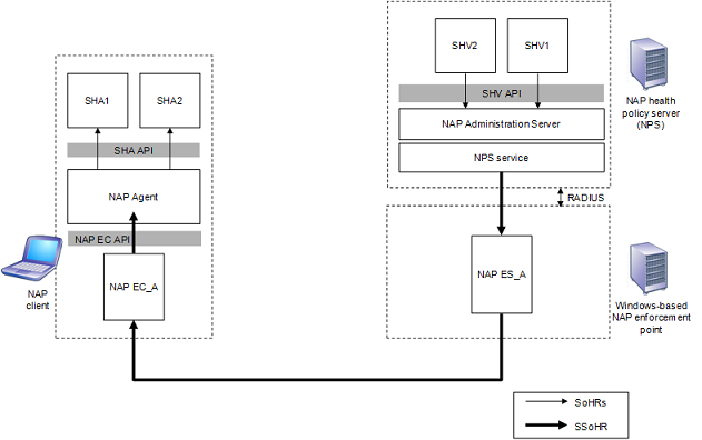 Architektur der Server-zu-Client-Kommunikation auf der NAP-Plattform