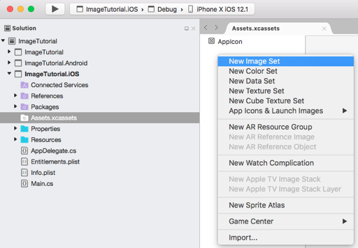 Screenshot of creating a new image set in the asset catalog in Visual Studio for Mac