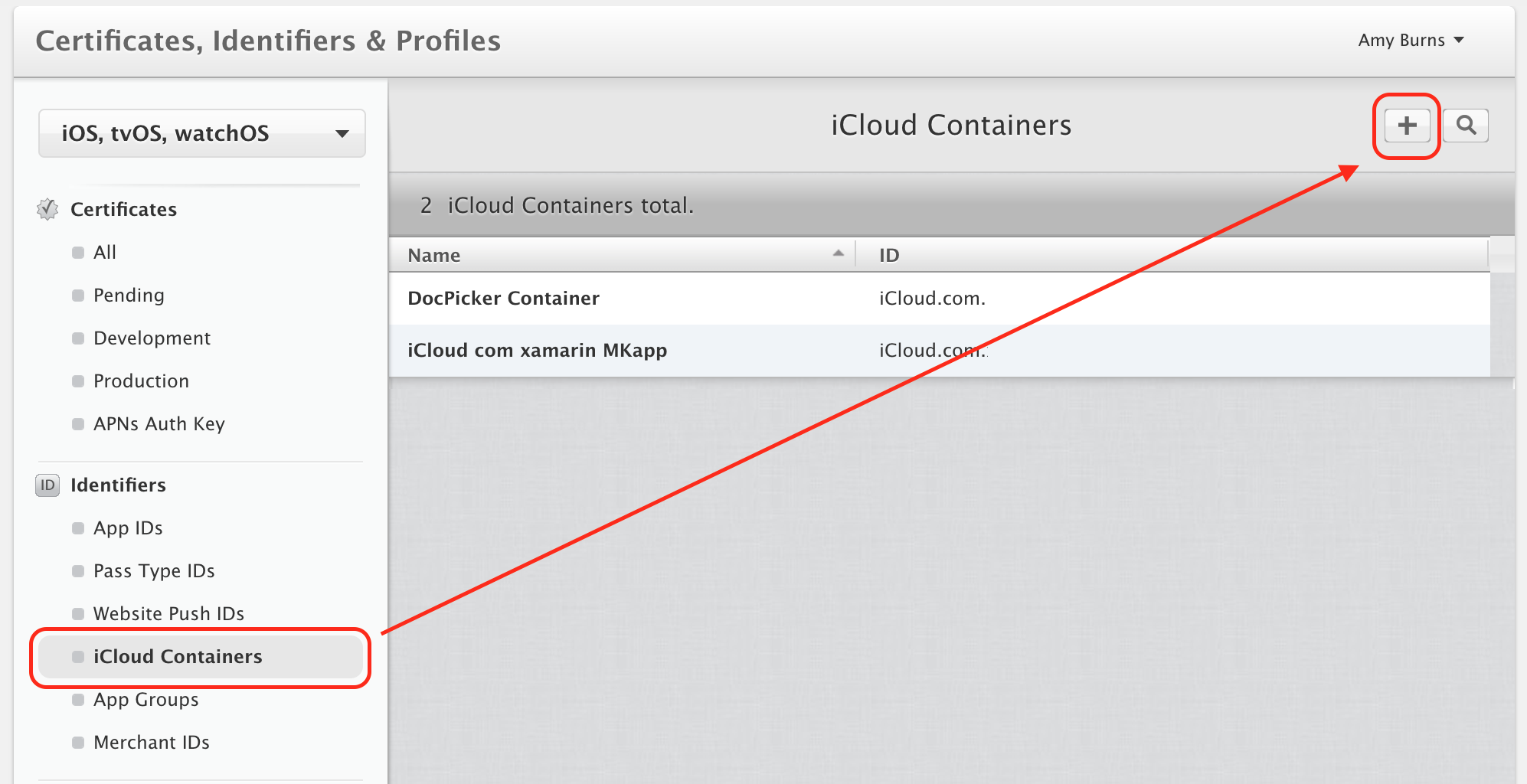 iCloud Container screen