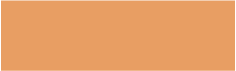 ORANGE (#E89E63) ORANGE (#E89E63).