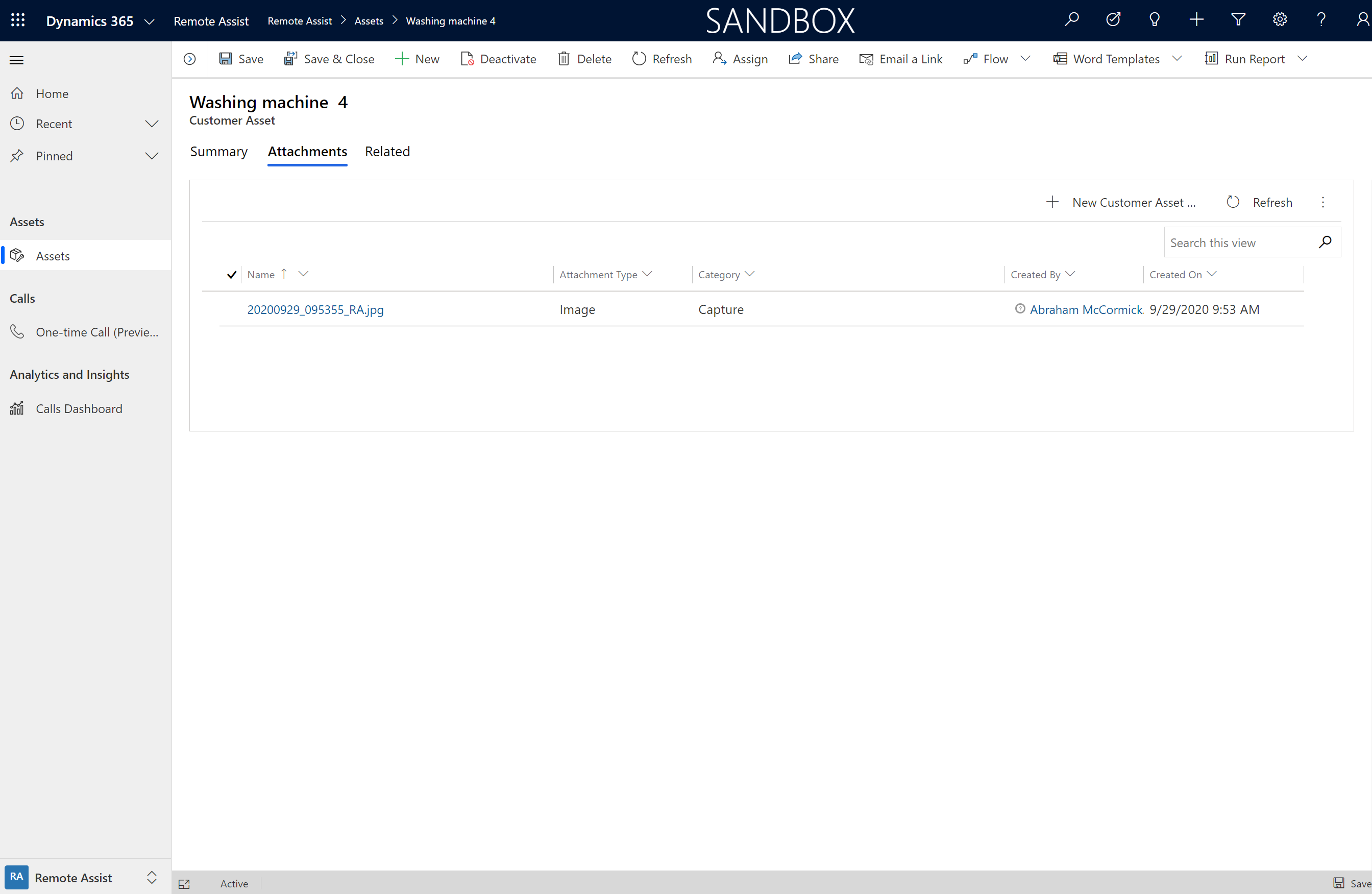 Screenshot of the asset capture subgrid Screenshot of the asset capture subgrid.