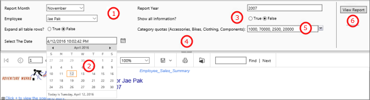 View report with parameters