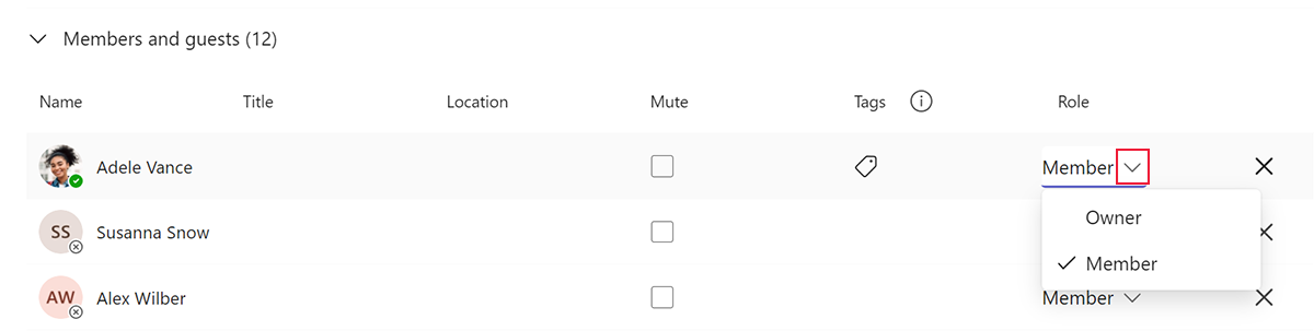 Screenshot of the member role settings in Microsoft Teams.