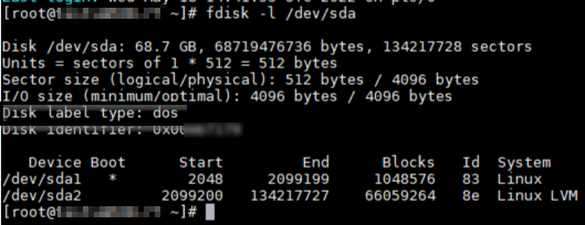 Screenshot shows boot with dos type partition table.