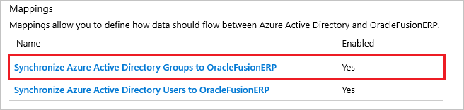 Oracle Fusion ERP Group Mappings