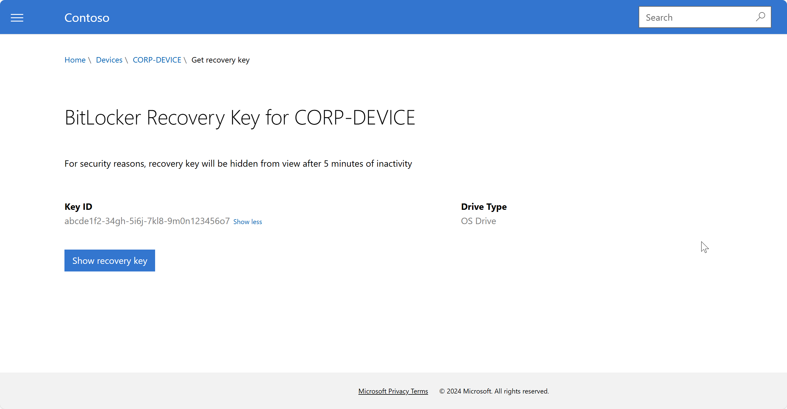 Example screenshot of the BitLocker Recovery Key page on the Intune Company Portal website. 