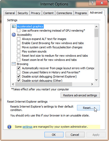 Screenshot of the Advanced tab on Internet Options.