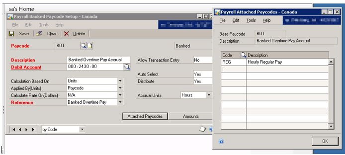 Screenshot of a BOT banked pay code setup and the REG pay code.