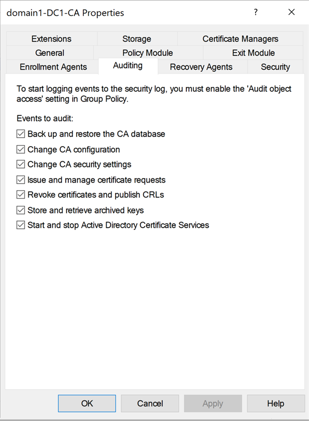 Screenshot of the Properties Auditing tab.