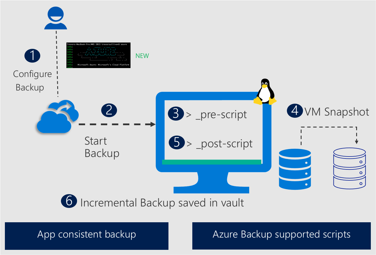Diagram that shows a Linux application-consistent snapshot by Azure Backup.