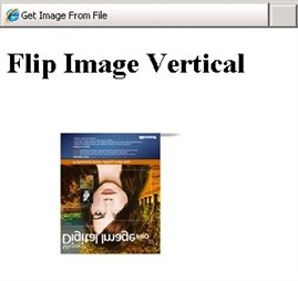 [Screenshot shows the Flip Image Vertical page.]